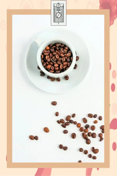 Ahududu Aromalı Çekirdek Kahve