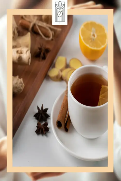 Premium Zencefilli Siyah Çay