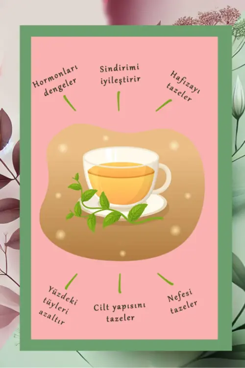 Gül & Kıvırcık Nane (Spearmint Tea) Çayı Özel Harman