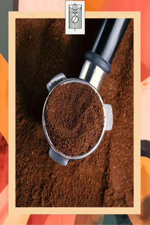 Toffee Nut Aromalı Filtre Kahve