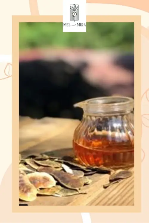 Açlık Otu Çayı