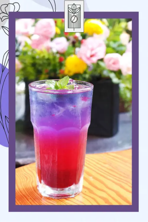 Special Euphoria Tea