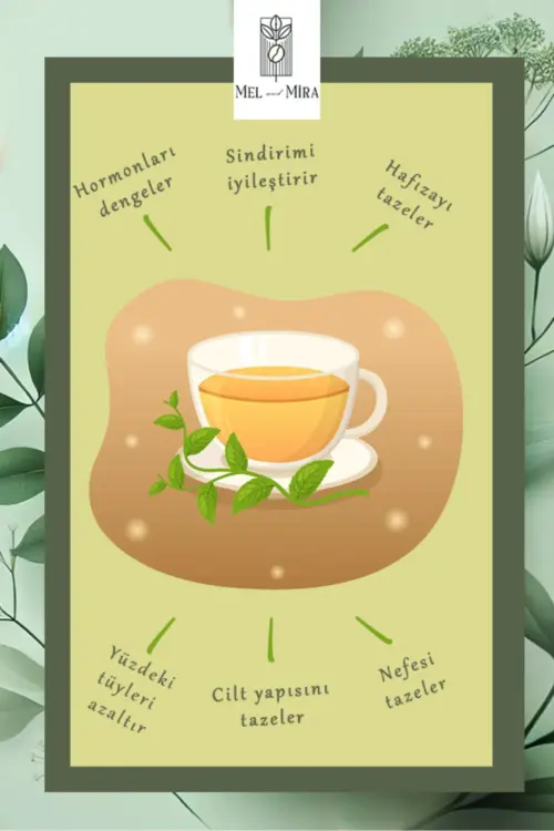 Spearmint Tea Premium Kıvırcık Nane Çayı