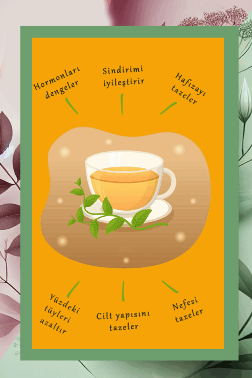 Portakallı Kıvırcık Nane Spearmint Tea Çayı Özel Harman