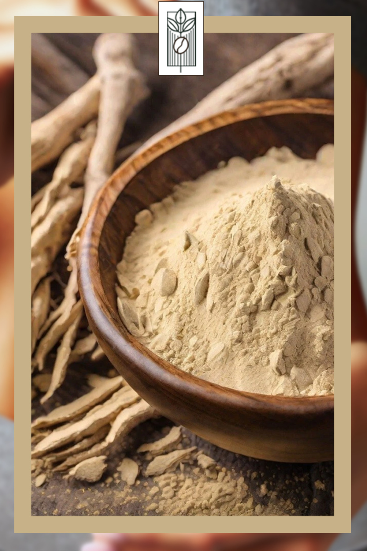 Organik Çin Geveni Astragalus Kökü Tozu - Görsel 3